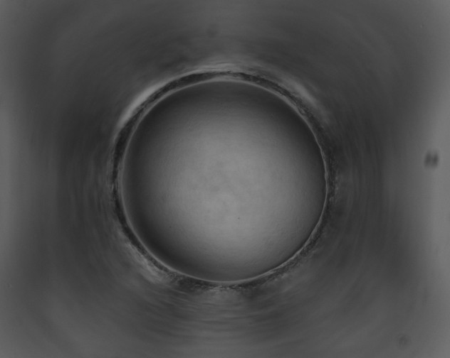 X0000090631216200707171440