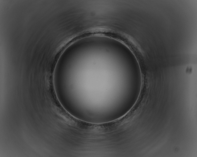 X0000090631217200707171440