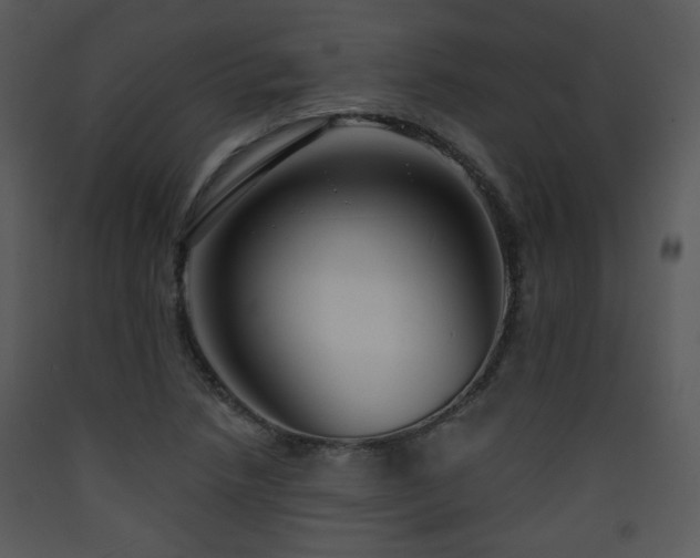 X0000090631218200707171440