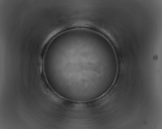 X0000090631219200707171440