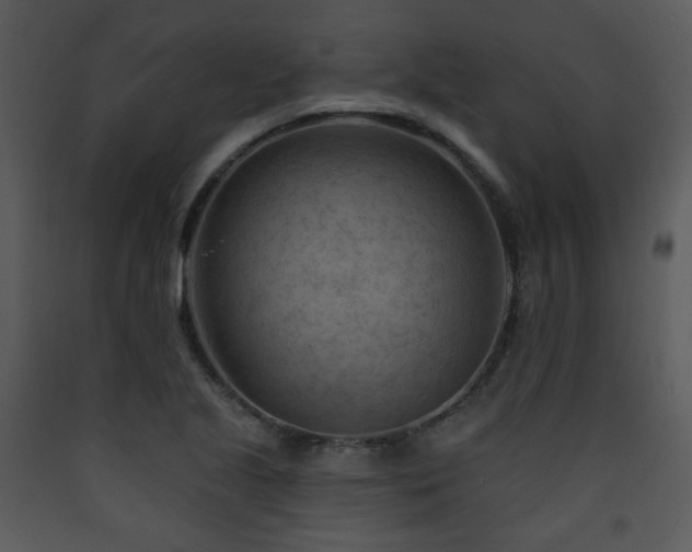 X0000090631221200707171440