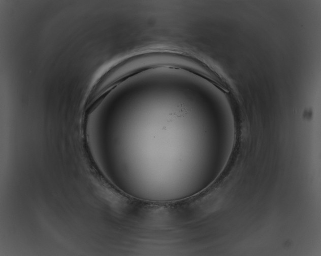 X0000090631222200707171440