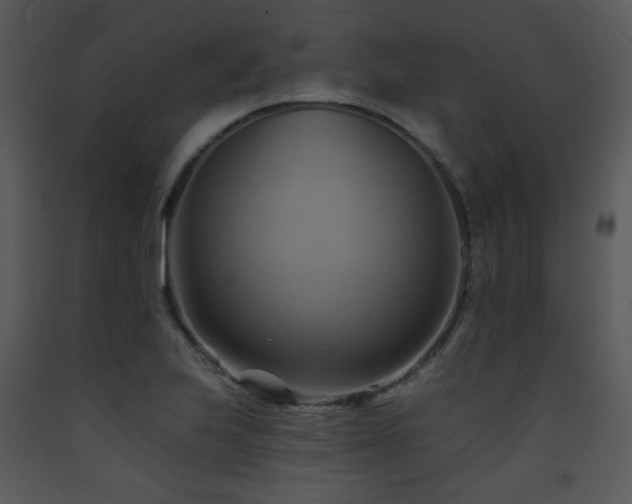 X0000090631223200707171440