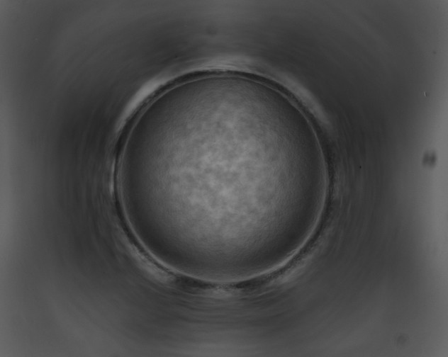 X0000090631224200707171440