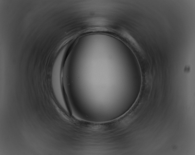 X0000090631225200707171440