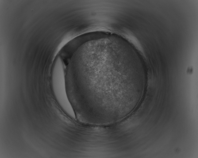 X0000090631226200707171440