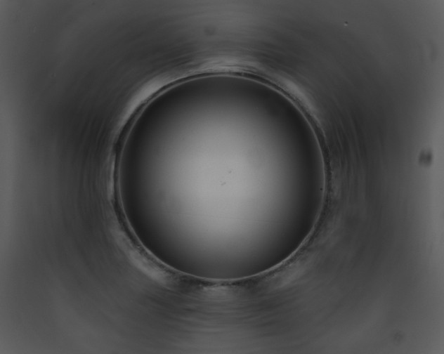 X0000090631227200707171440