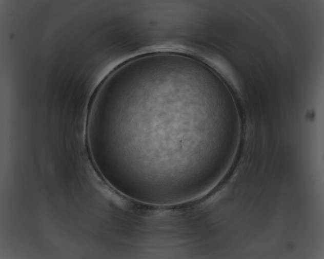X0000090631228200707171440