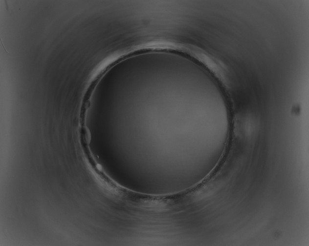 X0000090631229200707171440