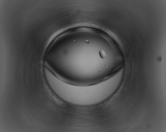X0000090631230200707171440