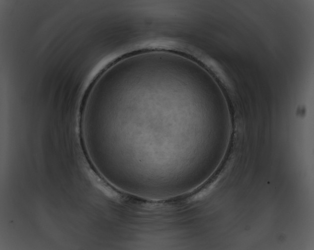 X0000090631232200707171440