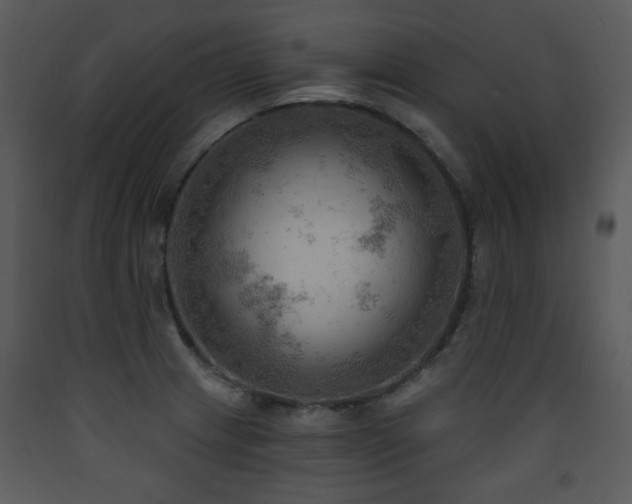 X0000090631233200707171440
