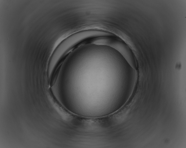 X0000090631234200707171440