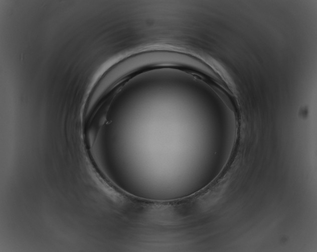 X0000090631238200707171440