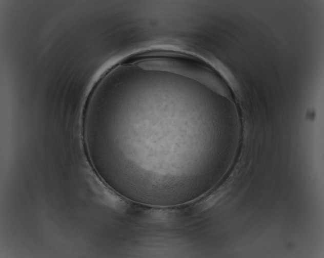 X0000090631240200707171440