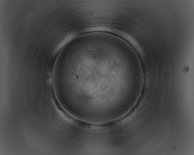 X0000090631241200707171440