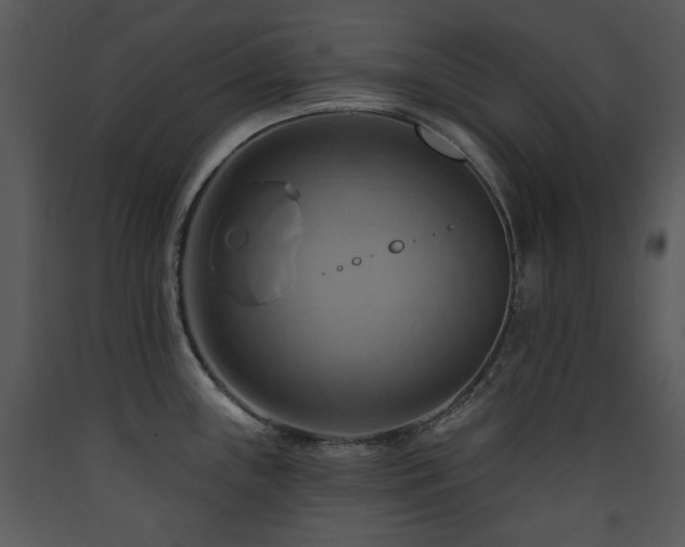 X0000090631243200707171440