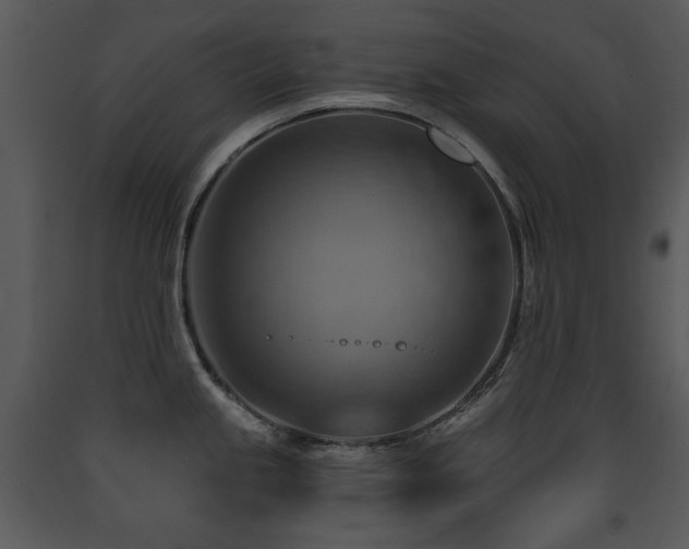 X0000090631245200707171440