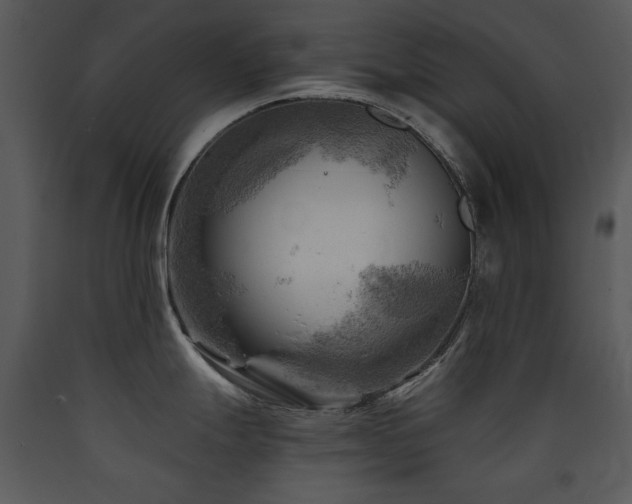 X0000090631247200707171440