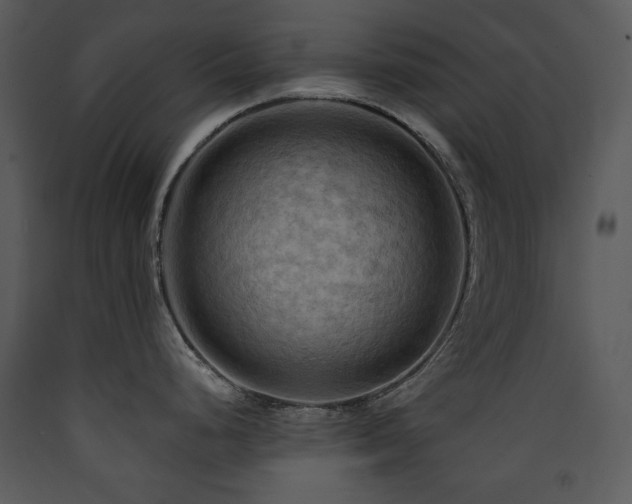 X0000090631248200707171440