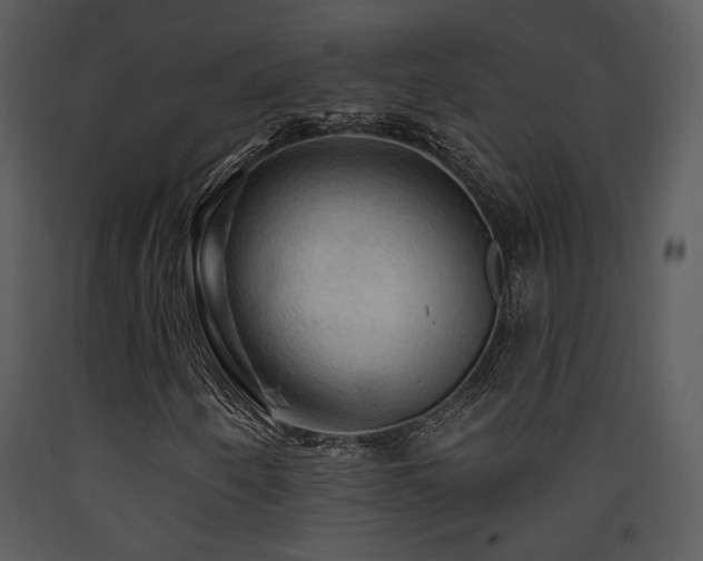 X0000090631250200707171440