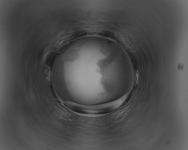 X0000090631251200707171440