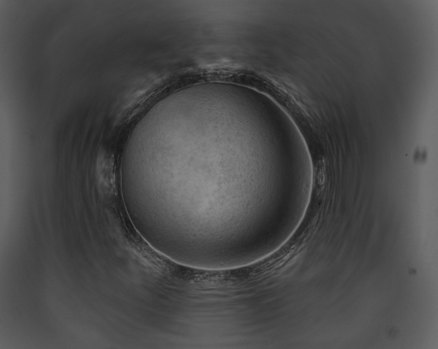 X0000090631252200707171440