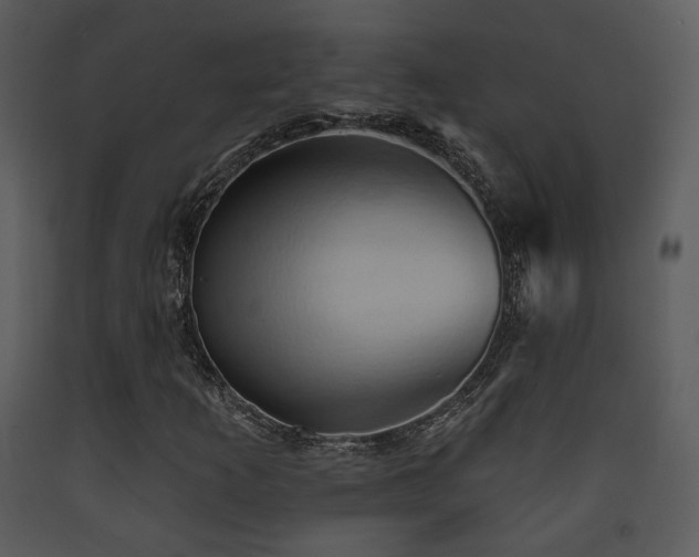 X0000090631253200707171440