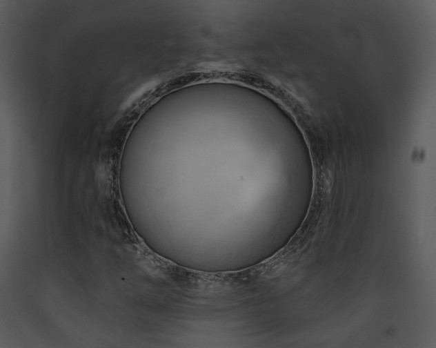 X0000090631254200707171440
