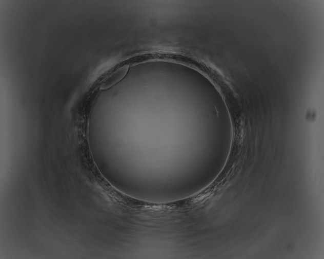 X0000090631255200707171440