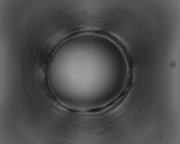 X0000090631257200707171440