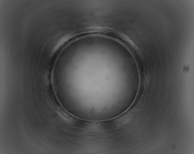 X0000090631259200707171439
