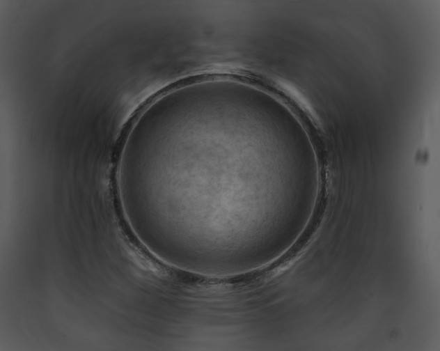 X0000090631260200707171439
