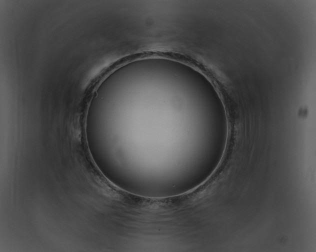 X0000090631262200707171439