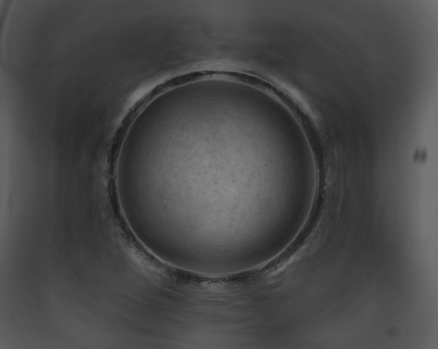 X0000090631264200707171439