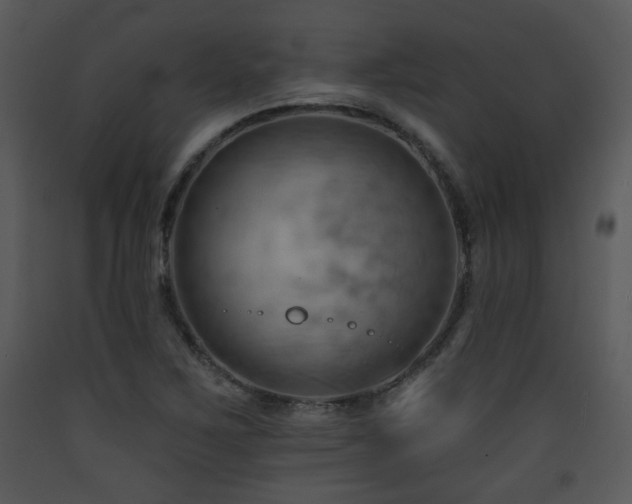 X0000090631267200707171439