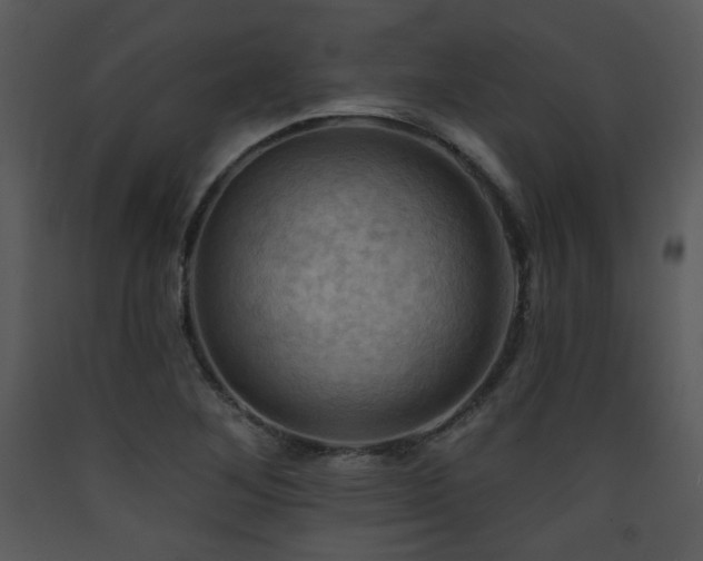 X0000090631268200707171439