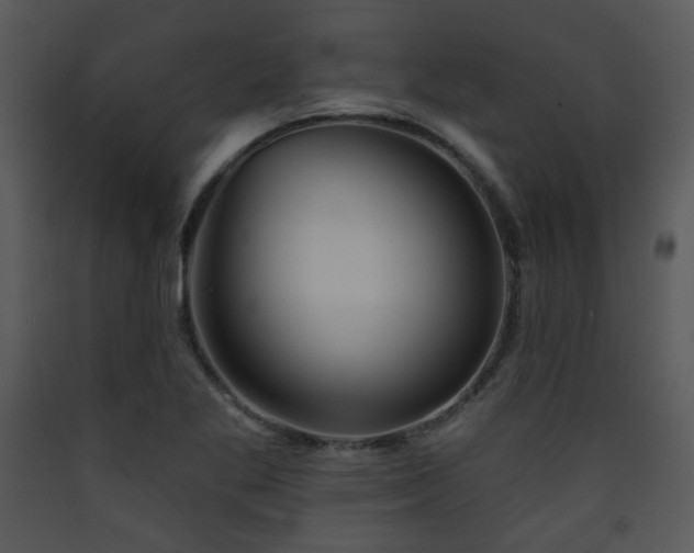 X0000090631269200707171439