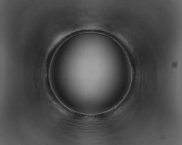 X0000090631270200707171439