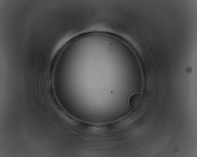 X0000090631271200707171439