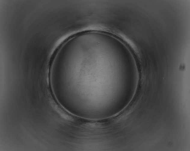 X0000090631272200707171439