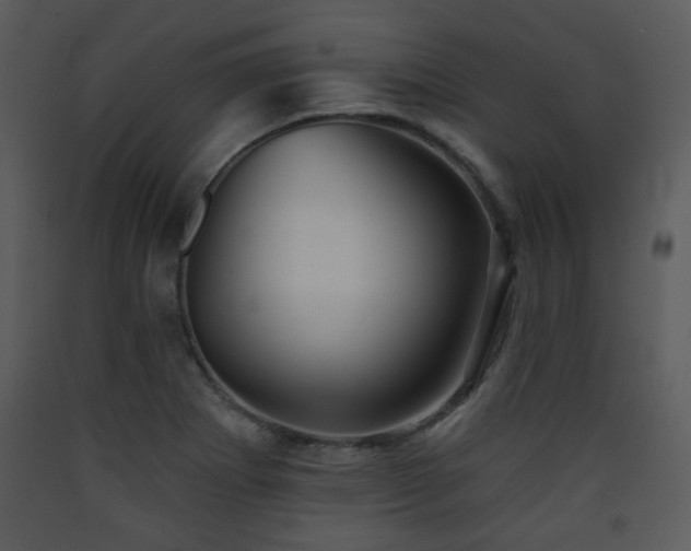 X0000090631273200707171439