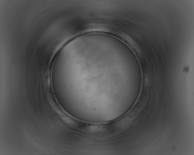 X0000090631274200707171439
