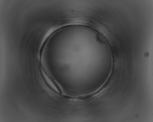 X0000090631275200707171439