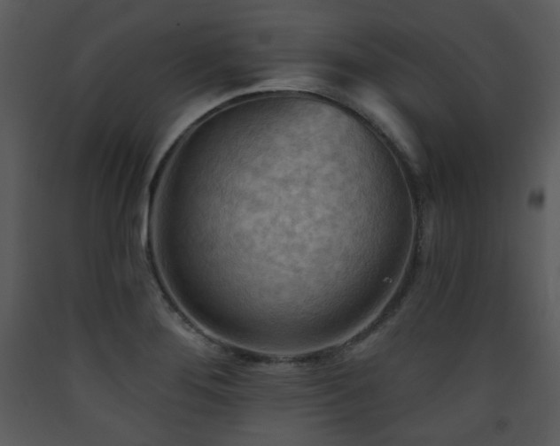 X0000090631276200707171439