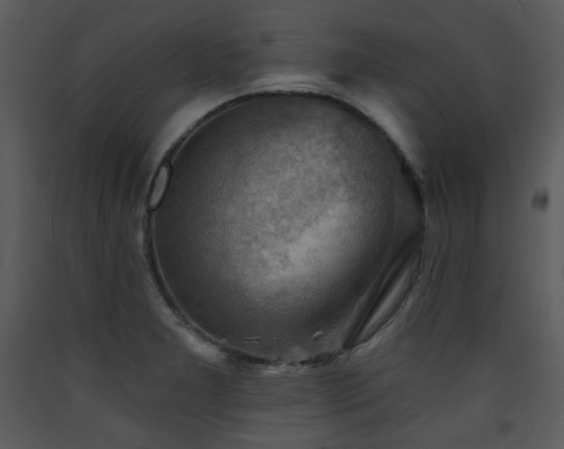X0000090631277200707171439