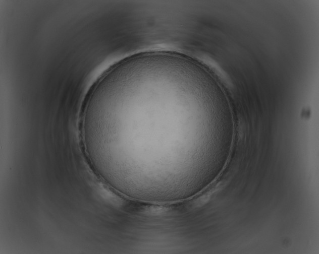 X0000090631278200707171439