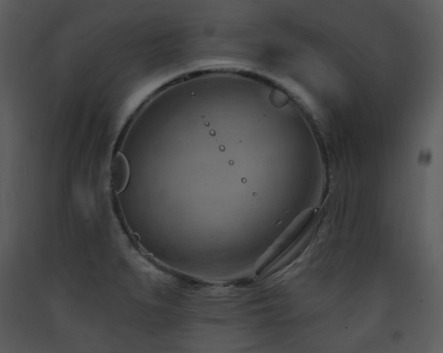 X0000090631279200707171439