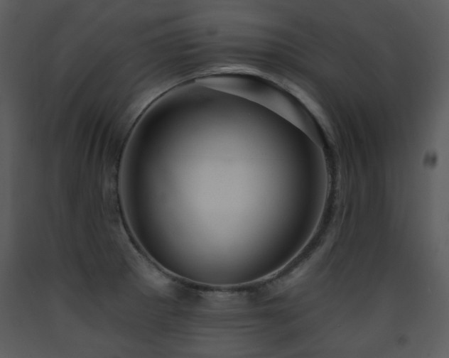 X0000090631281200707171439