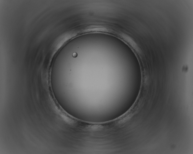 X0000090631282200707171439
